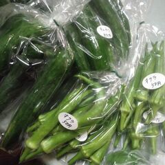 新鮮野菜コーナー8月2日の品出し予定です。