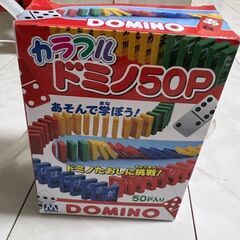 ドミノ　ローマ字　引渡し予定あり
