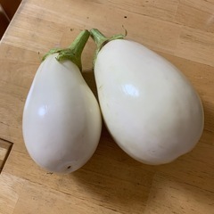 とろーり旨ナス　白ナスの画像