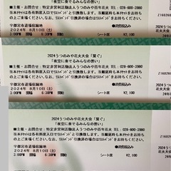 2024うつのみや花火大会 シート席3枚セット
