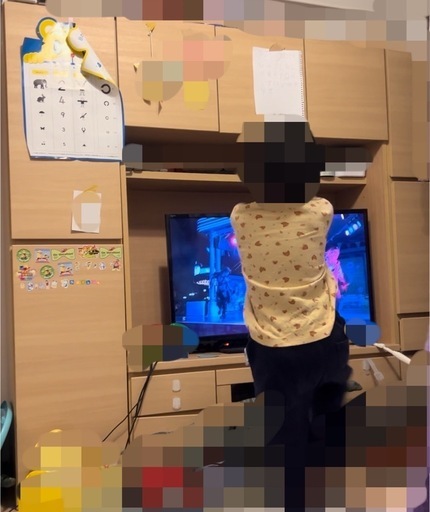 定価10万超 木製 テレビ台