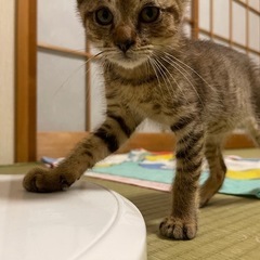 生後3ヶ月の人懐っこい男の子