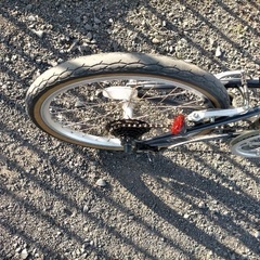 ダホン　折りたたみ自転車の画像