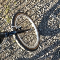 ダホン　折りたたみ自転車の画像