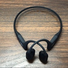 shokz openrun pro