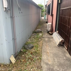 木の処分や草刈りや庭木の剪定をさせてもらってます。