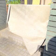 【取引中】大きな カーペットの画像