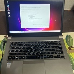 新品未開封GT-γ200 ガンマ クマノミ カーペンター