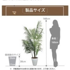 大きなフェイクグリーンの画像