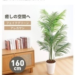 大きなフェイクグリーンの画像