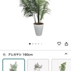 大きなフェイクグリーンの画像