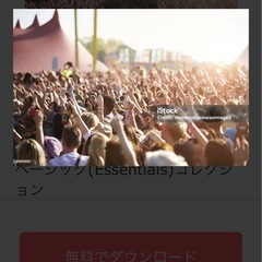 アルバイトスタッフSUMMER SONIC 2024の画像