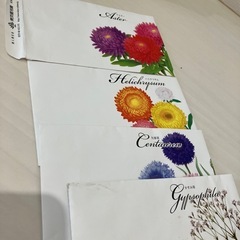 花の種　矢車草　かすみそう　アスター　ヘリクリサム