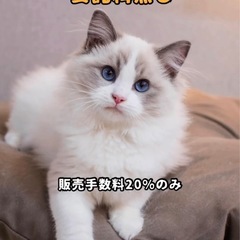 作家様募集中　　ハンドメイド委託販売 - 三潴郡