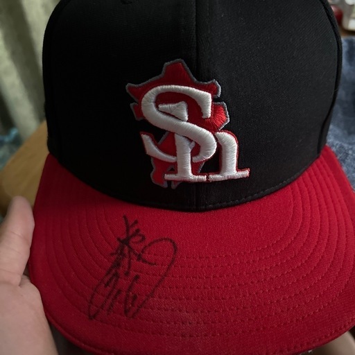 ソフトバンクの東浜投手が使っていた帽子