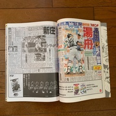 '92猛虎の挑戦の画像