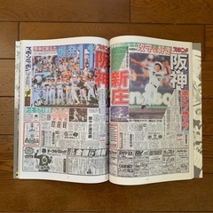 '92猛虎の挑戦の画像