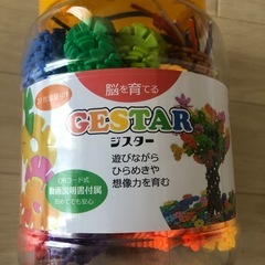 脳を育てるジスター　知育玩具の画像