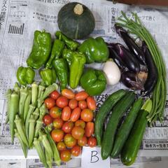 【お取引先決定済】夏野菜とかぼちゃのセットＢ