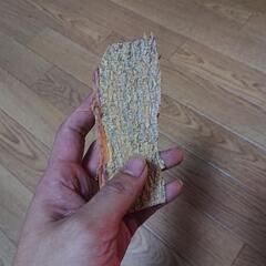 アカシア・コンフサ 根皮 100g