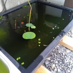 期間限定:8月18日まで！トロ舟60L&オーバーフロー加工付きトロファスト（グレー）の画像