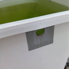 期間限定:8月18日まで！トロ舟60L&オーバーフロー加工付きトロファスト（グレー）の画像