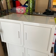 冷やし虫家　美品　激安セール