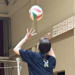 バレーボール愛好会　仲間募集☆