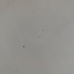 テーブル　折りたたみ　コンパクトの画像