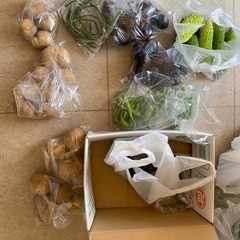 野菜色々　１袋100円