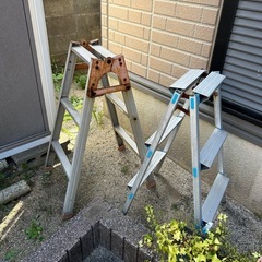 決まりました！　脚立