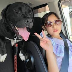 犬友募集🐶 − 滋賀県