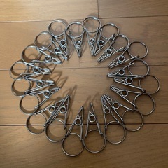 ステンレス製　リング付き洗濯バサミ20個、パーカーハンガー２個の画像