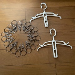 ステンレス製　リング付き洗濯バサミ20個、パーカーハンガー２個