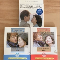 冬のソナタ　本