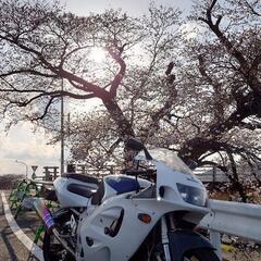 スズキ GSX-R750 GR7DA 98 FI車 北米仕様 逆車 フルパワー