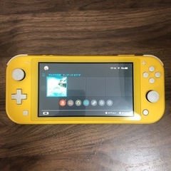 Nintendo Switch Lite+ティアーズ オブ ザ　...