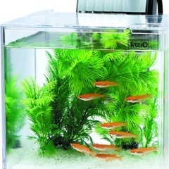 【お引取り完了】🐟新品🐟テトラ🐟ミニアクアリウム お魚飼育セット 🐟