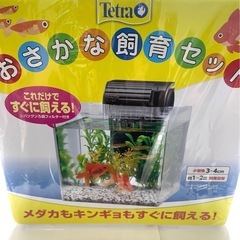 【お引取り完了】🐟新品🐟テトラ🐟ミニアクアリウム お魚飼育セット 🐟の画像