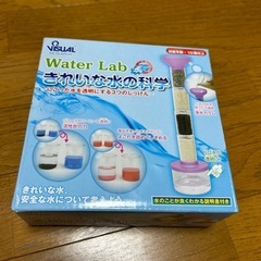 夏休み実験材料　　