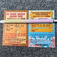 ディズニー　未来のチャレンジャー　スプラッシュ＆ビッグサンダーの画像