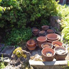 使用済の植木鉢大量