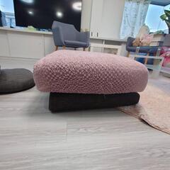 家具 椅子 座椅子 ソファ