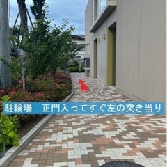【サッカー体験参加募集】8月4日(日)18時30分から21時 葛西中 − 東京都