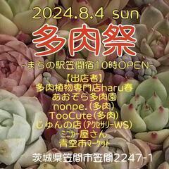 8/4 多肉祭と、むかしながらの「青空市」フリーマーケット - 笠間市