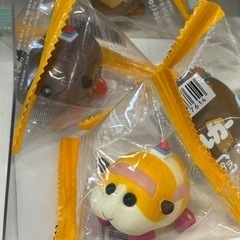 同性の友達募集してます！