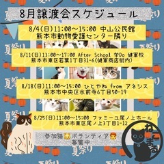 🐱ニコニコ保護猫譲渡会🐱 - その他