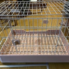 うさぎのゲージ
の画像