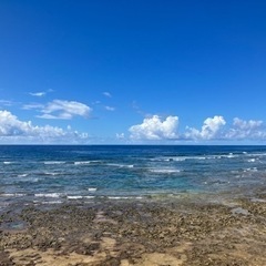 発達障害、職場での悩みなど。