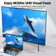 Type-C→HDTVケーブル4K@30Hzの画像